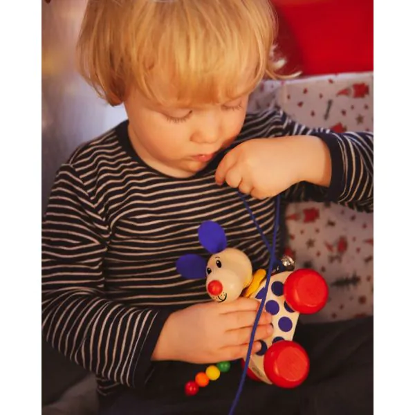 Schmidt Spiele Nico-Nachzieh-Hund, Schiebe-und Nachziehspielzeug aus Holz, 12 cm Tiefpreis