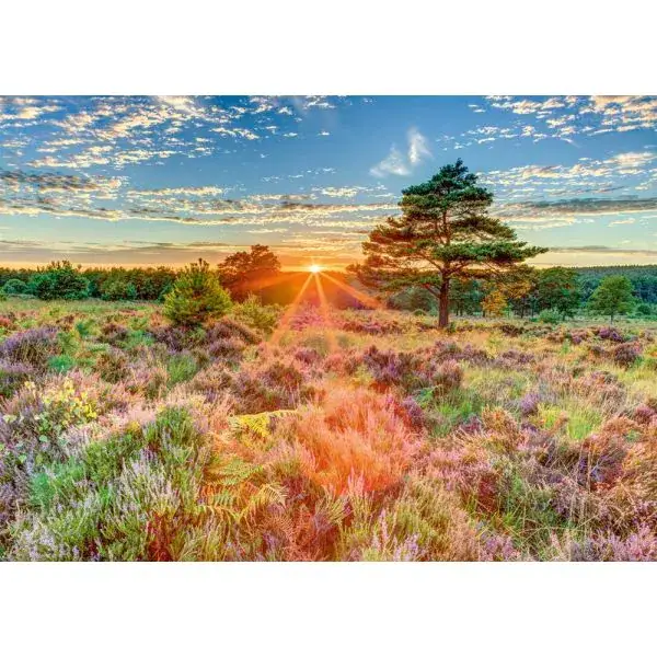 Schmidt Spiele Heide im Sonnenuntergang, 1.000 Teile Puzzle Speichern exportieren