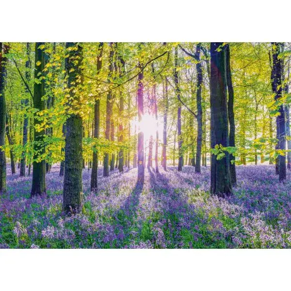 Schmidt Spiele Zarte Glockenblumen im Wald, 1.000 Teile Puzzle Black Friday Preise