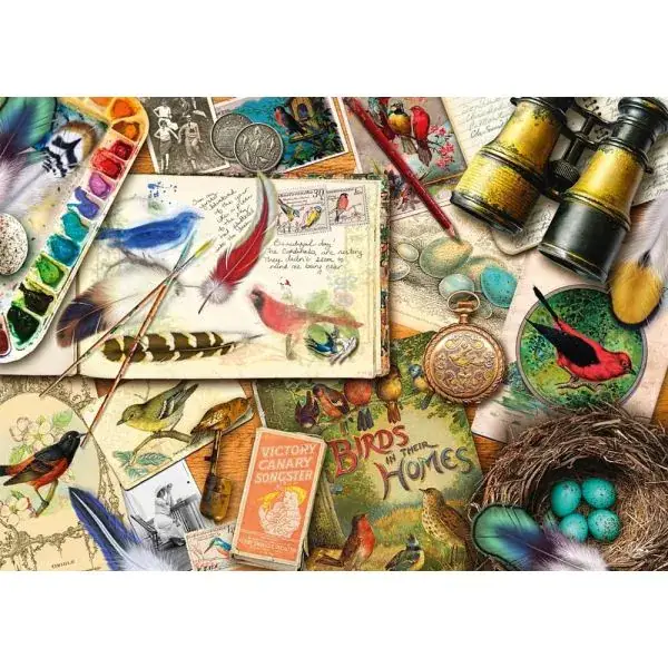 Schmidt Spiele Aimee Stewart: Aufgetischt: Vogelbeobachtung, 1.000 Teile Puzzle 50% Rabatt mit kostenlosem Versand