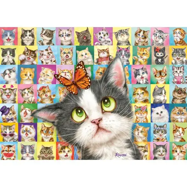 Schmidt Spiele Katzen-Mimik, 1.000 Teile Puzzle Speichern exportieren