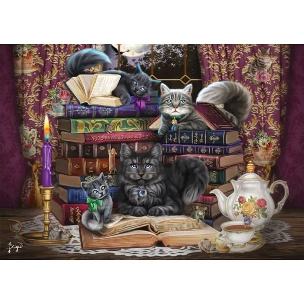 Schmidt Spiele Brigid Ashwood: Märchenstunde mit Katzen, 1.000 Teile Puzzle Online Shopping
