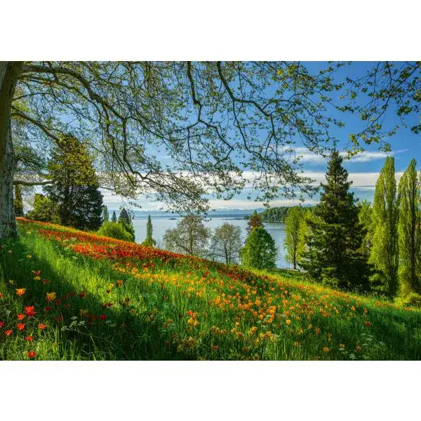 Schmidt Spiele Frühlingsallee zur Tulpenblüte, Insel Mainau, 1.000 Teile Puzzle Begrenzte Freigabe