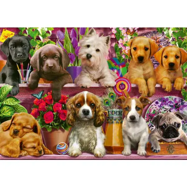 Schmidt Spiele Hunde im Regal, 500 Teile Puzzle Vierteljährliche Förderung