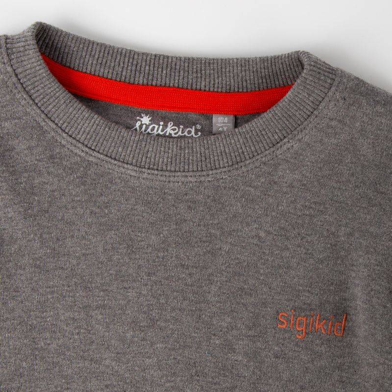 Sigikid Graumeliertes Kinder Langarmshirt Polarschiff Fabrikladen