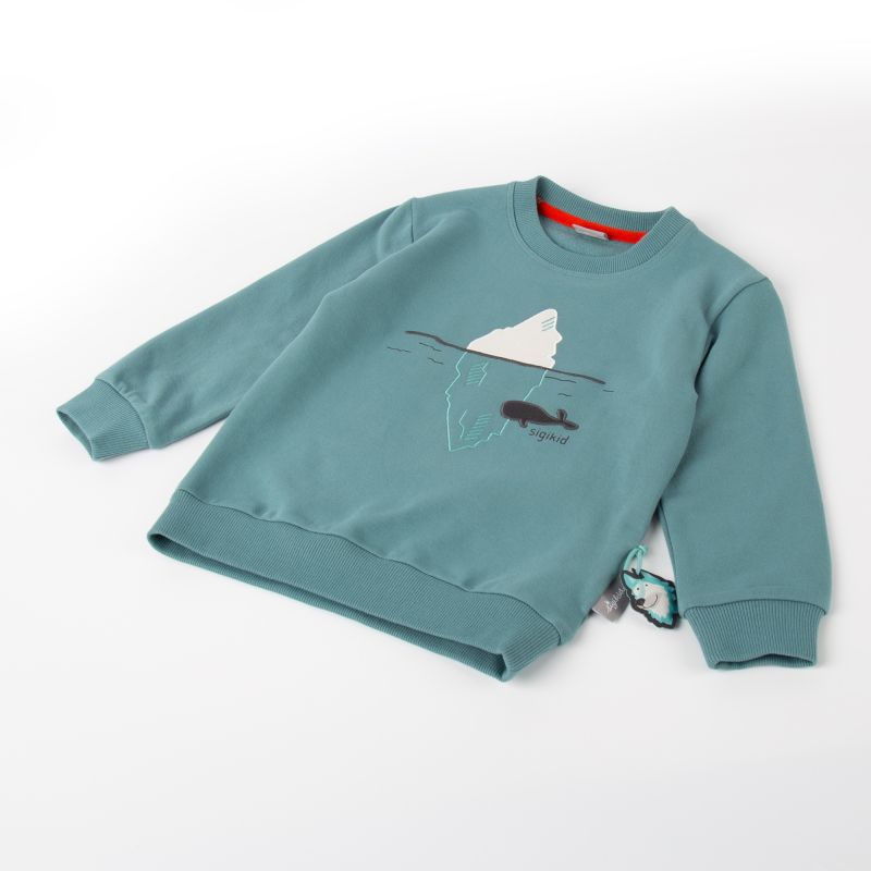 Sigikid Kinder Sweatshirt Polar Expedition, türkis VIP-Rabatte