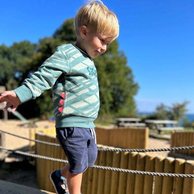 Sigikid Baby Sweatshirt Dino World, grün Online