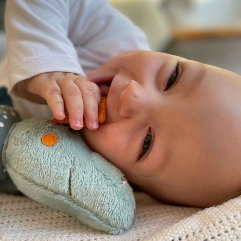 Sigikid Baby Aktiv Klettdrache 50% Rabatt für begrenzte Zeit