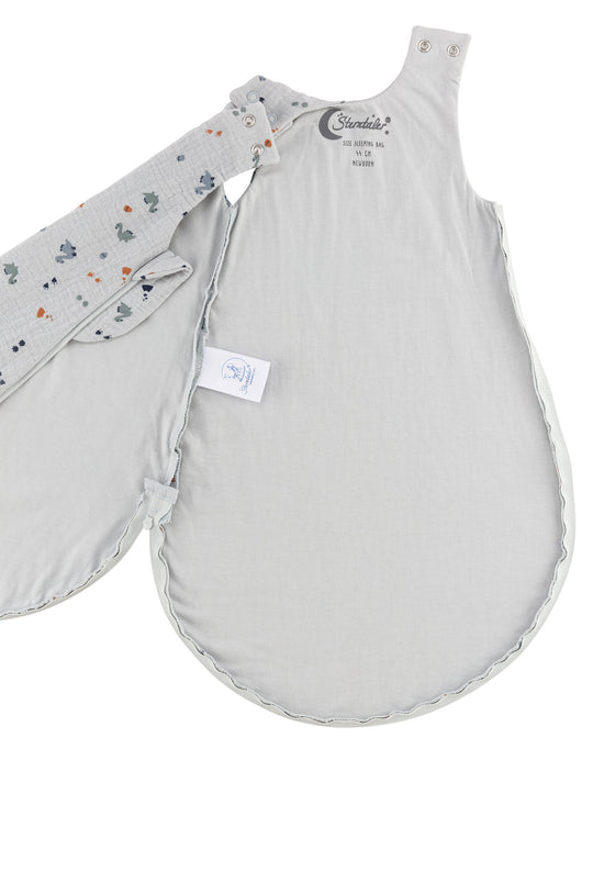 Sterntaler Babyschlafsack 62/68 Motiv Dino Rexi, 0,50 TOG Letzte 2 Tage