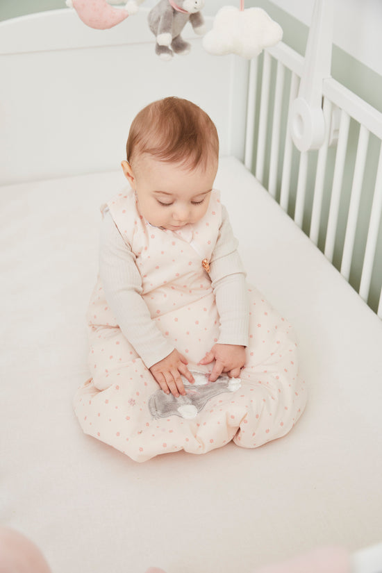 Sterntaler Schlafsack Baby, Esel Emmi Girl, 70cm Cyber Monday