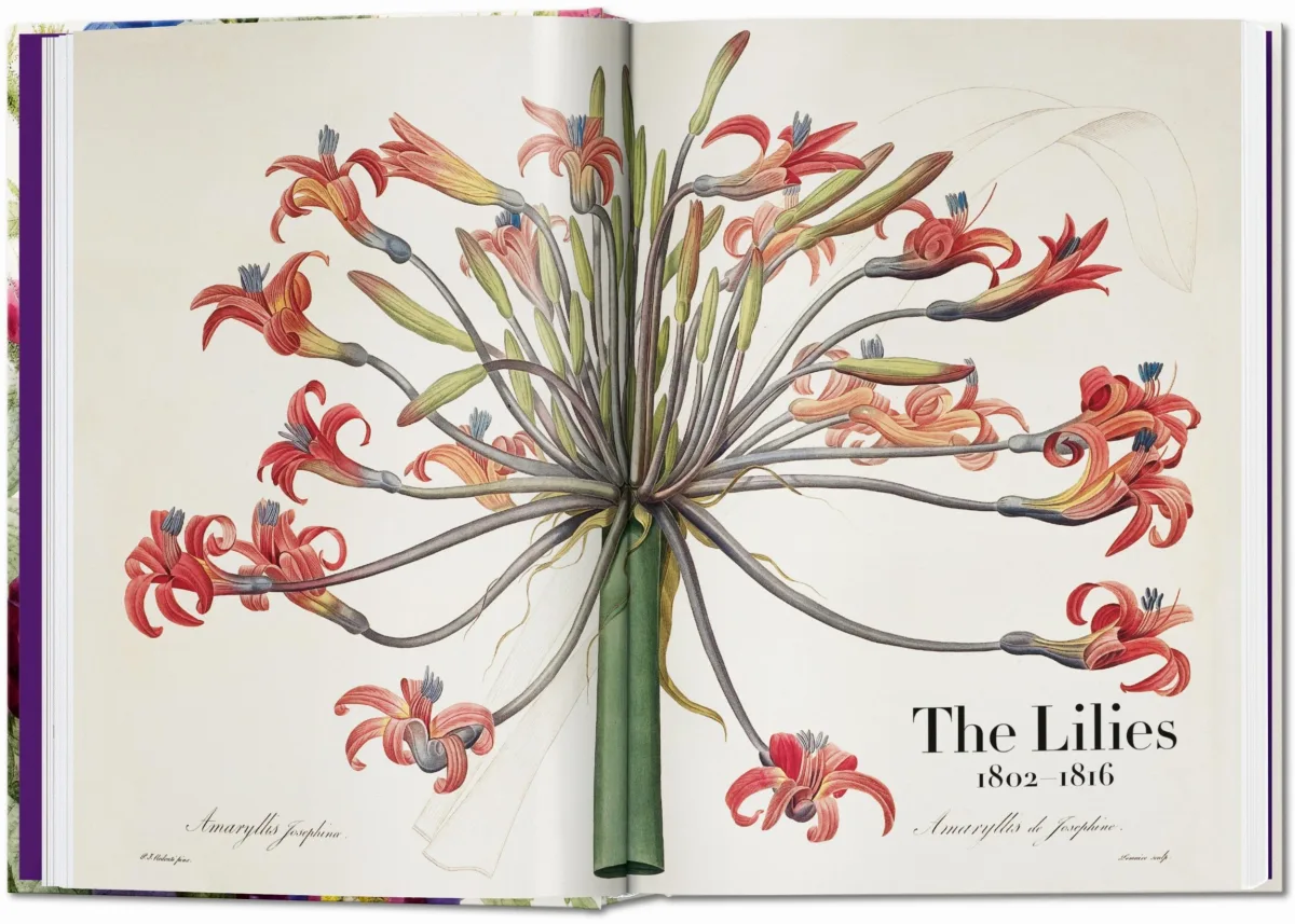 TASCHEN Redouté. The Book of Flowers. 40th Ed Weihnachtsangebot