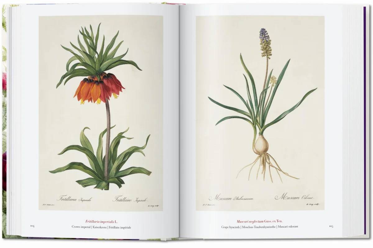 TASCHEN Redouté. The Book of Flowers. 40th Ed Weihnachtsangebot