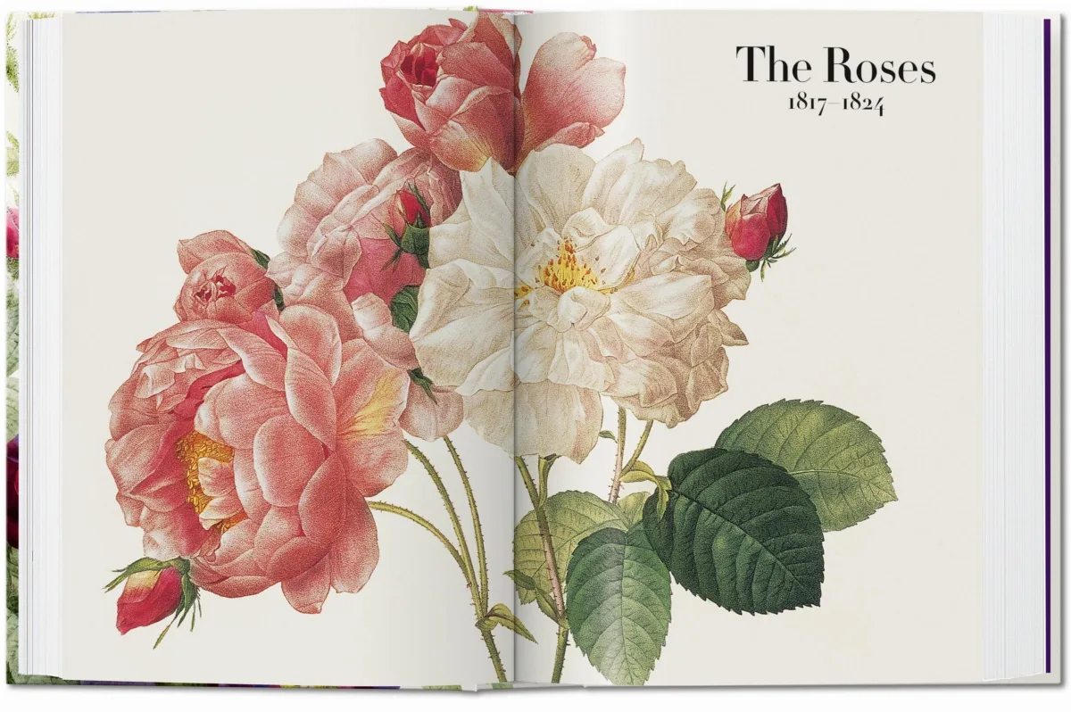 TASCHEN Redouté. The Book of Flowers. 40th Ed Weihnachtsangebot