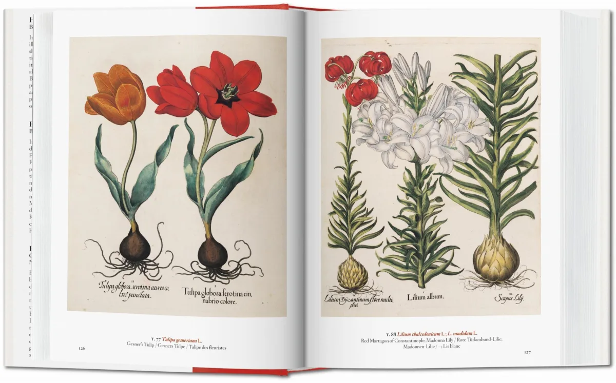 TASCHEN A Garden Eden. Masterpieces of Botanical Illustration. 40th Ed Lagerräumung