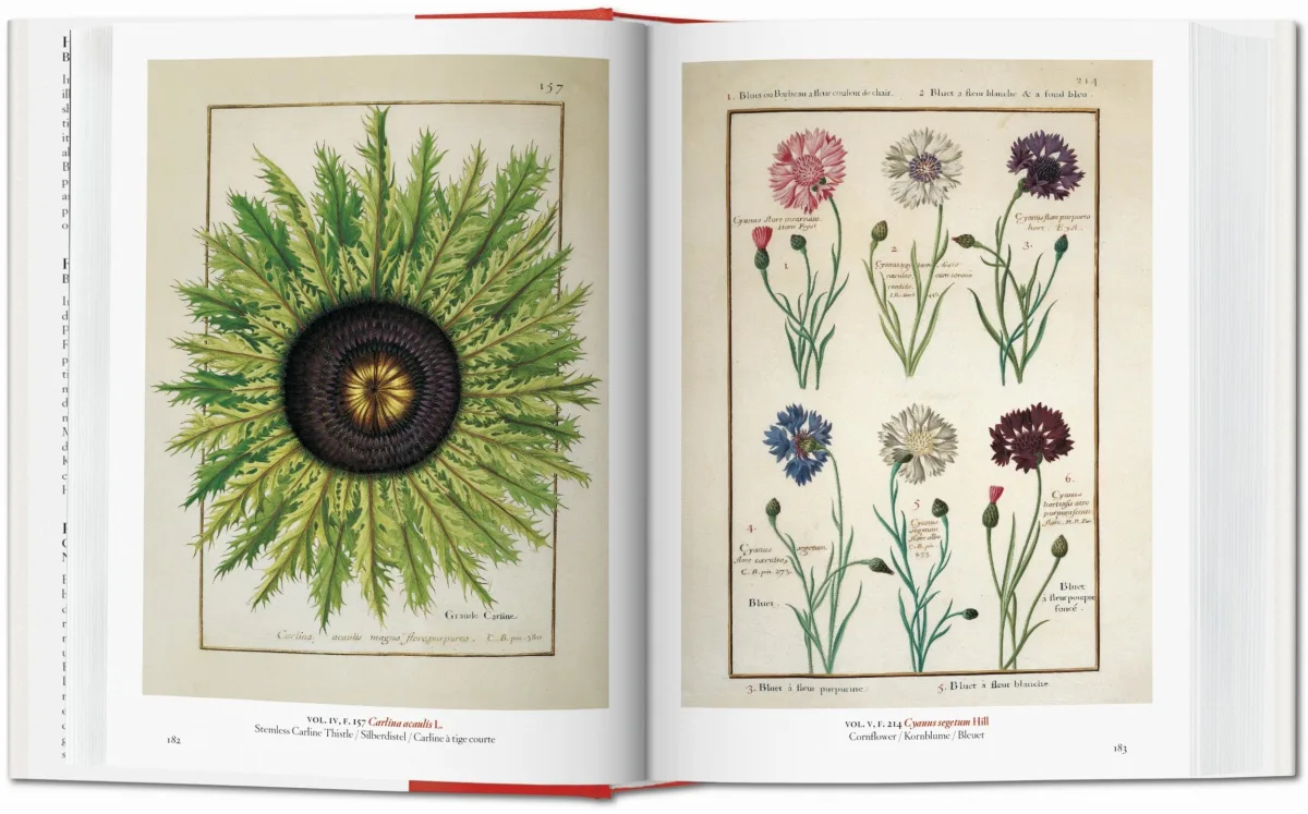 TASCHEN A Garden Eden. Masterpieces of Botanical Illustration. 40th Ed Lagerräumung
