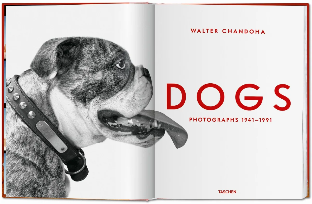 TASCHEN Walter Chandoha. Dogs. Photographs 1941–1991 Letzte 3 Tage