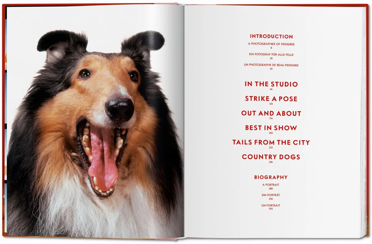 TASCHEN Walter Chandoha. Dogs. Photographs 1941–1991 Letzte 3 Tage