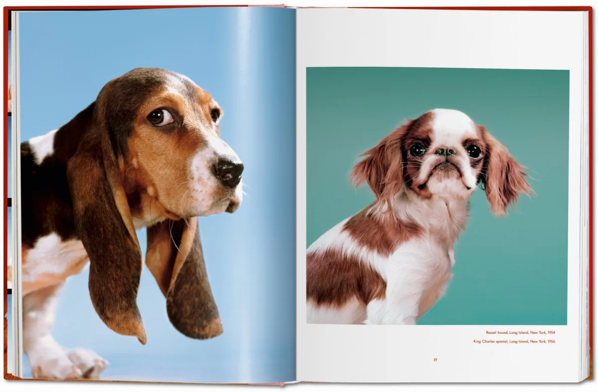 TASCHEN Walter Chandoha. Dogs. Photographs 1941–1991 Letzte 3 Tage