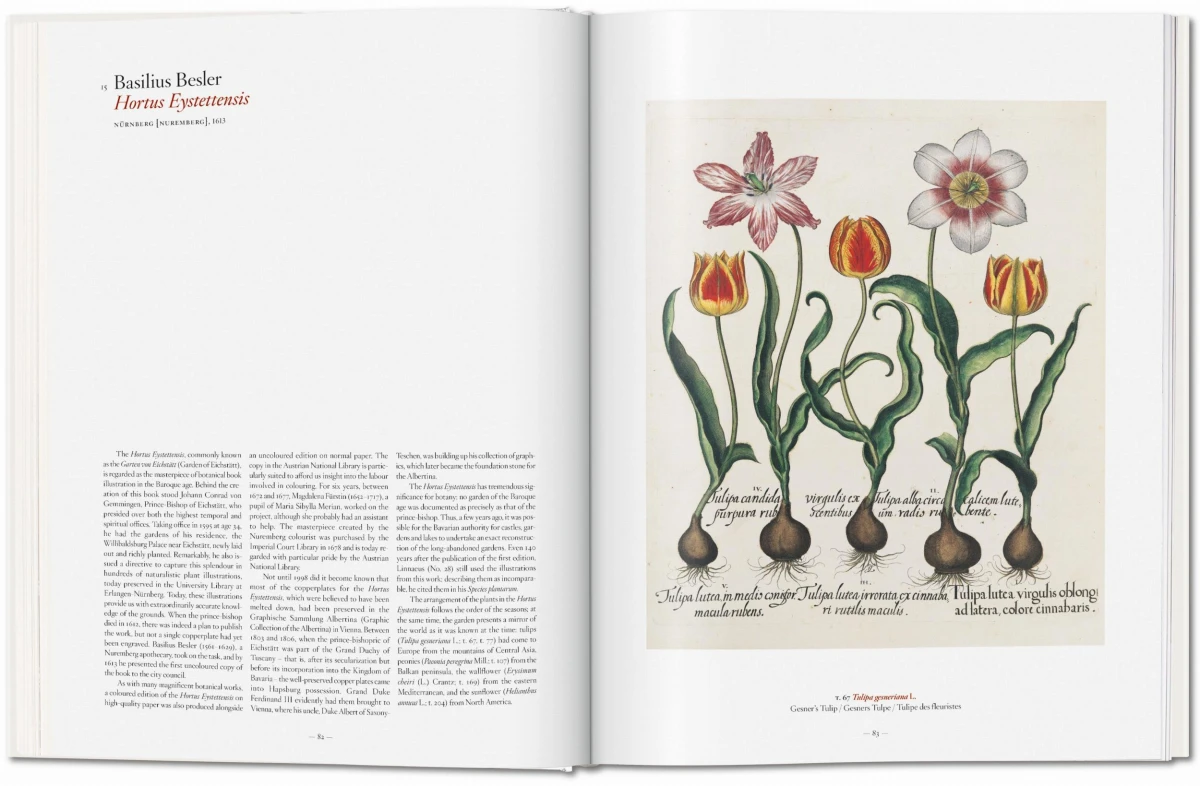 TASCHEN A Garden Eden. Masterpieces of Botanical Illustration JETZT KAUFEN