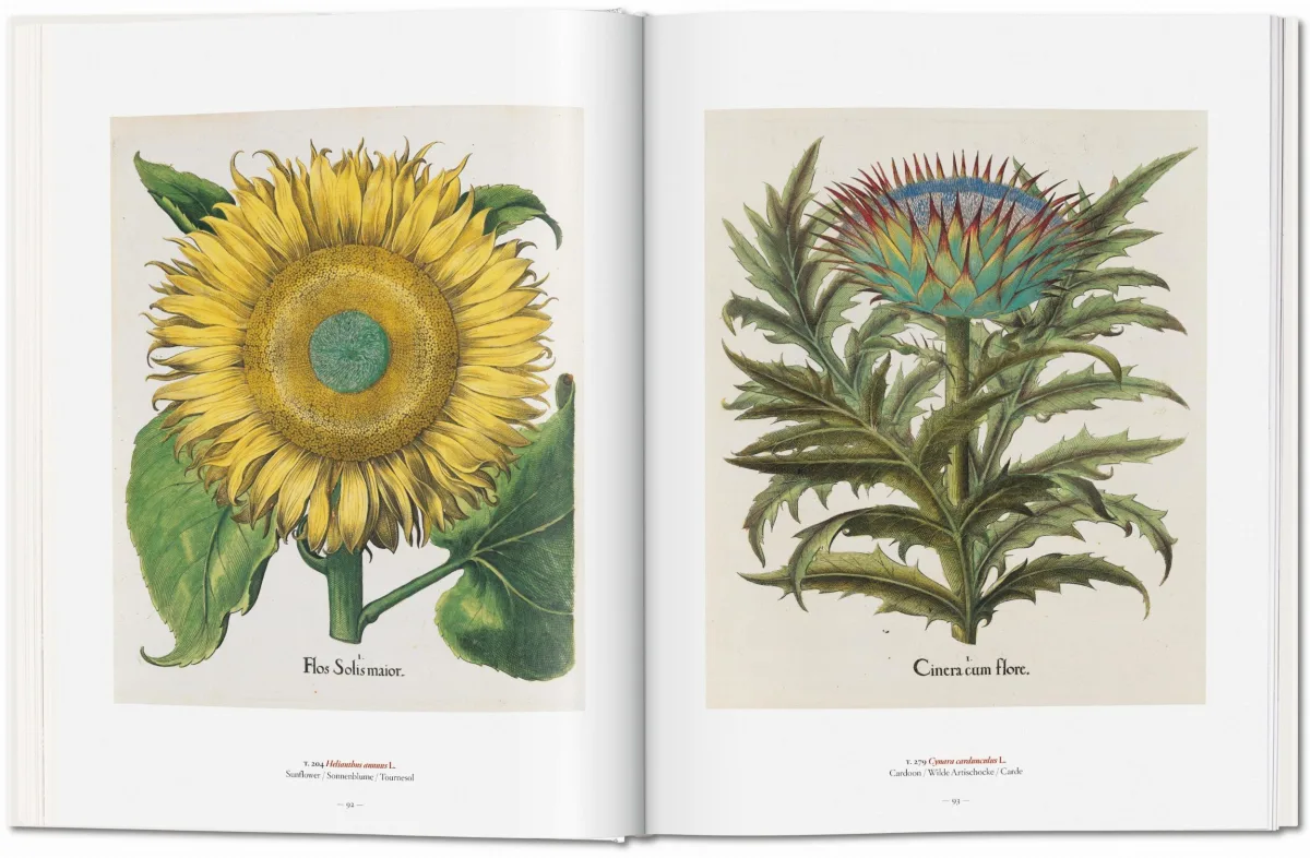 TASCHEN A Garden Eden. Masterpieces of Botanical Illustration JETZT KAUFEN