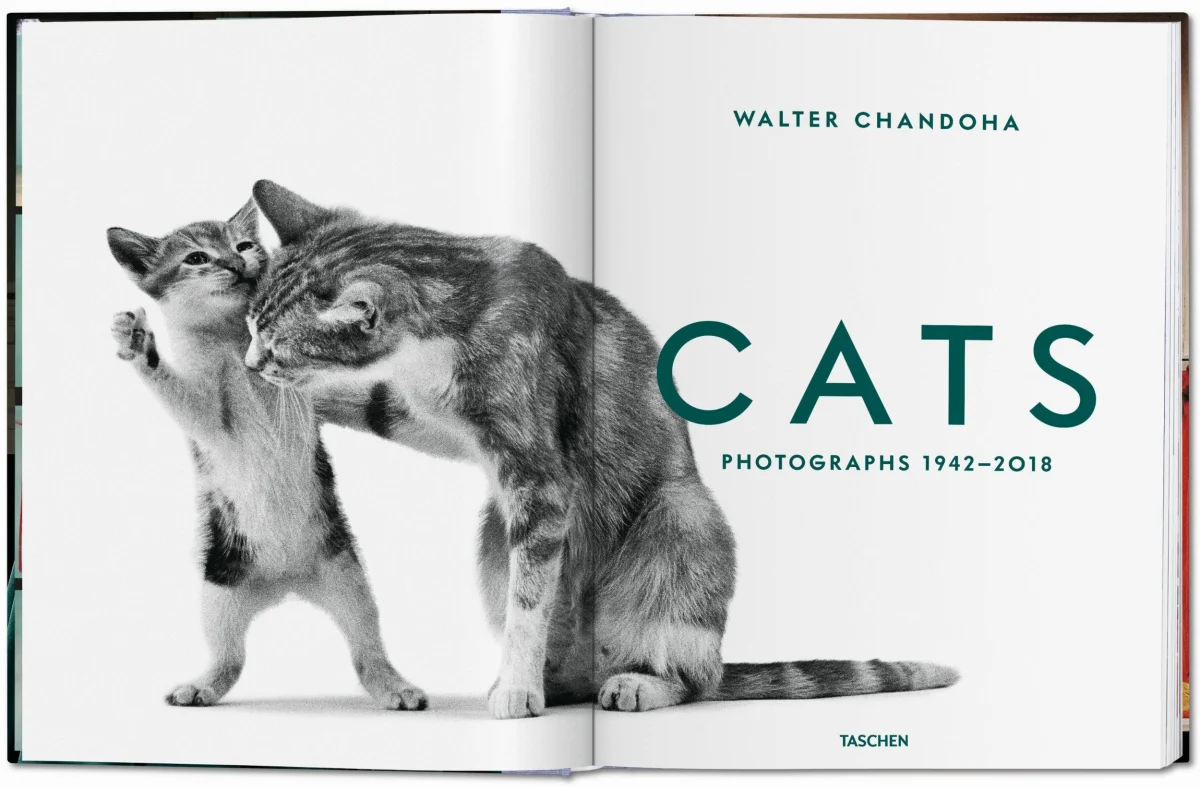 TASCHEN Walter Chandoha. Cats. Photographs 1942–2018 Bis zu 60% Rabatt