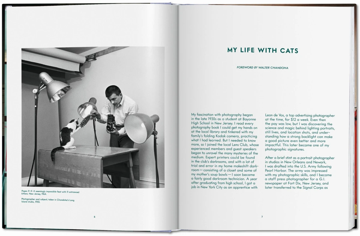TASCHEN Walter Chandoha. Cats. Photographs 1942–2018 Bis zu 60% Rabatt