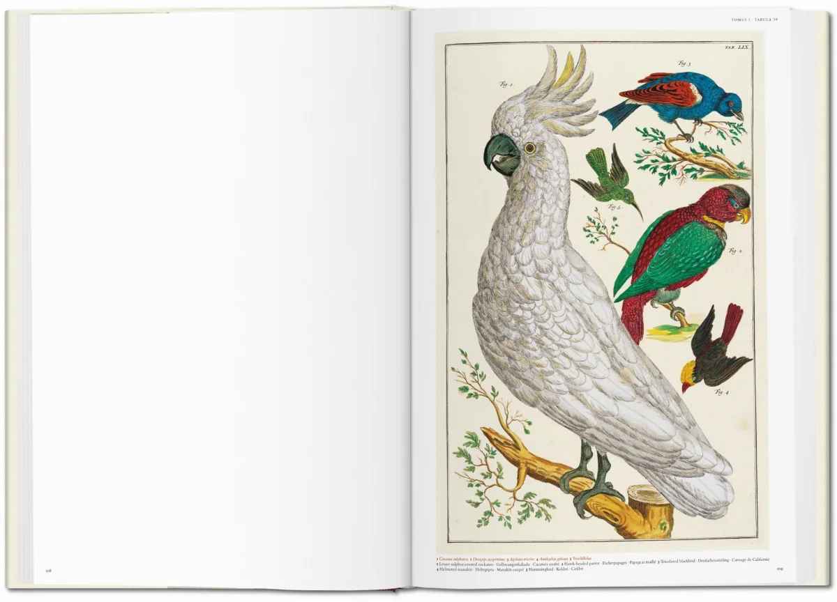 TASCHEN Seba. Cabinet of Natural Curiosities 50% Rabatt mit kostenlosem Versand