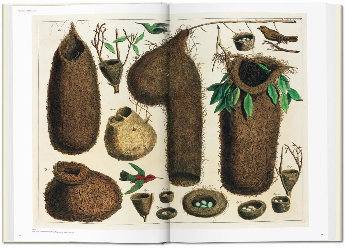 TASCHEN Seba. Cabinet of Natural Curiosities 50% Rabatt mit kostenlosem Versand