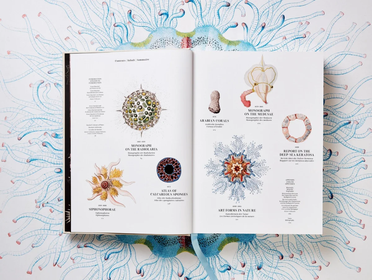 TASCHEN The Art and Science of Ernst Haeckel Black Friday Preise
