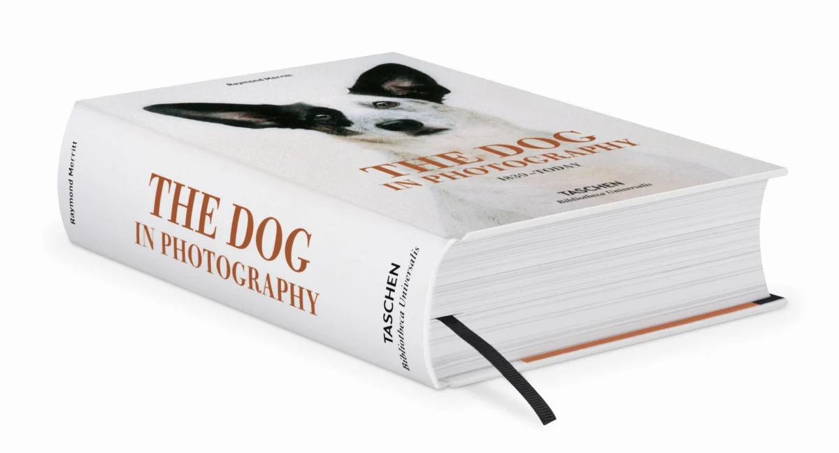 TASCHEN The Dog in Photography 1839–Today Fabrikladen