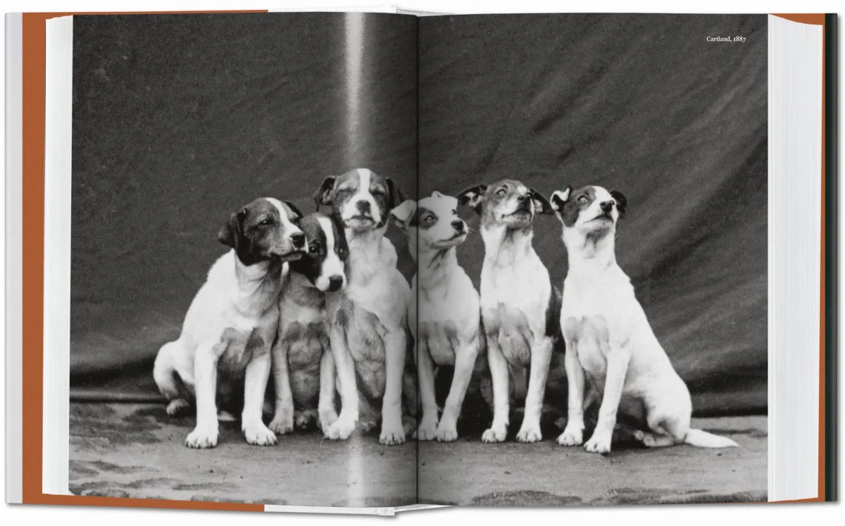 TASCHEN The Dog in Photography 1839–Today Fabrikladen
