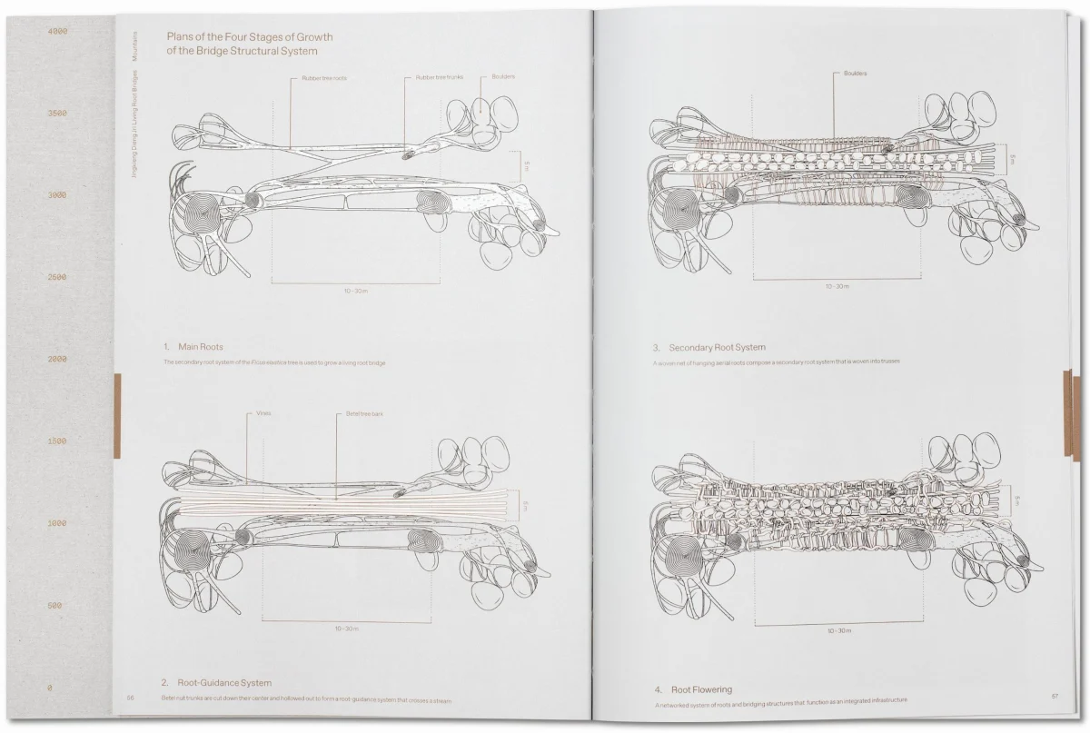 TASCHEN Julia Watson. Lo—TEK. Design by Radical Indigenism Rabatte dieses Monats