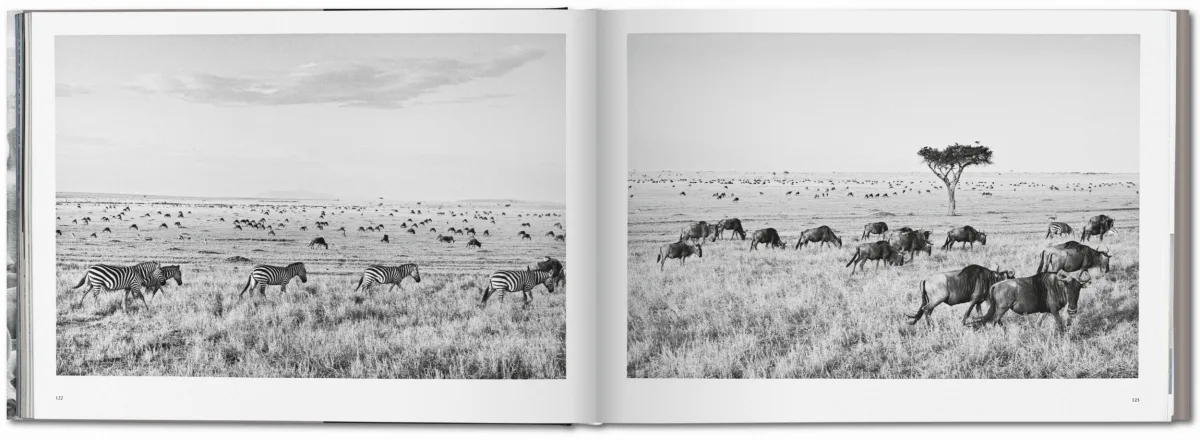 TASCHEN Sebastião Salgado. Africa 2025