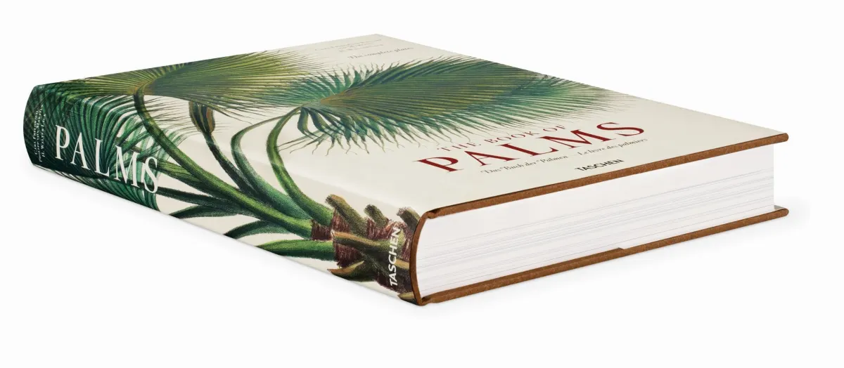 TASCHEN Martius. The Book of Palms Angebote