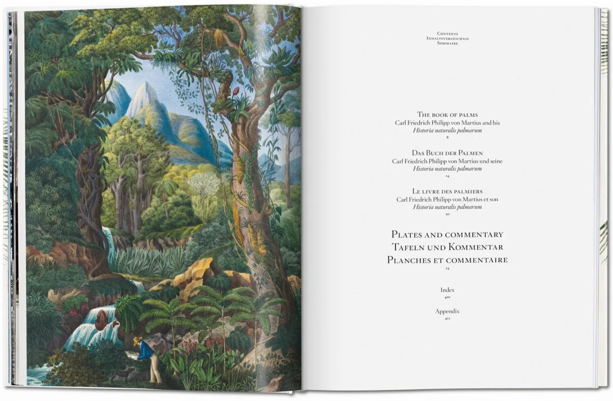 TASCHEN Martius. The Book of Palms Angebote