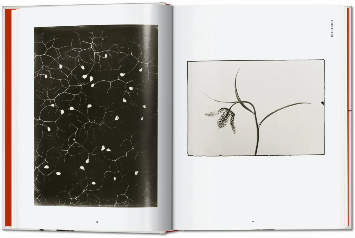 TASCHEN Karl Blossfeldt. The Complete Published Work. 40th Ed Wochenangebot