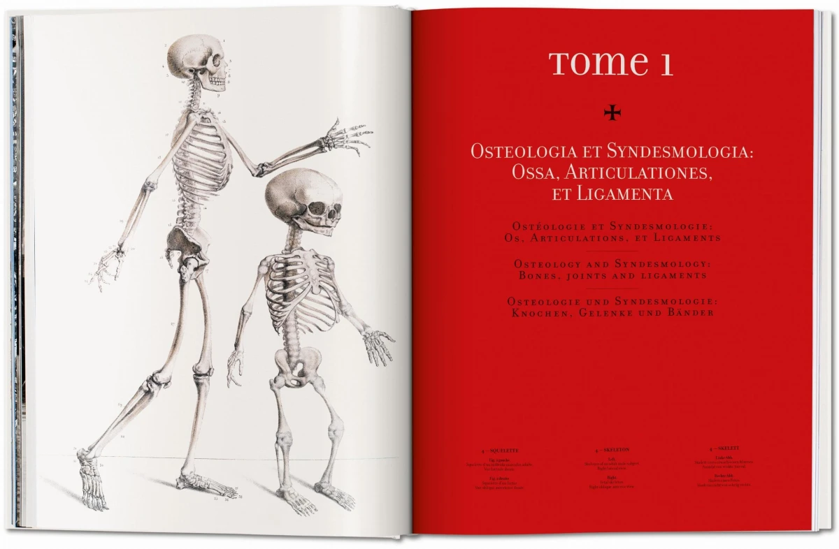 TASCHEN Bourgery. Atlas of Human Anatomy and Surgery Nur noch ein Tag übrig