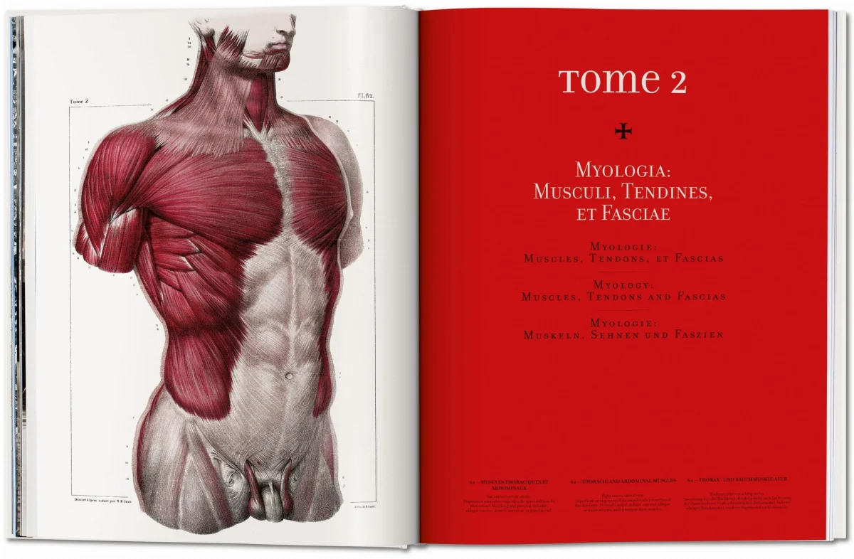 TASCHEN Bourgery. Atlas of Human Anatomy and Surgery Nur noch ein Tag übrig