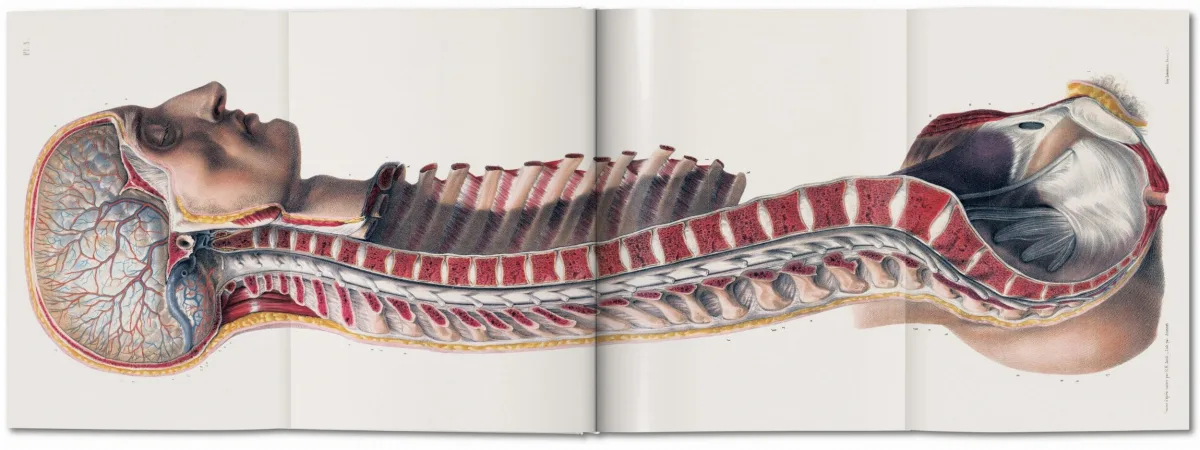 TASCHEN Bourgery. Atlas of Human Anatomy and Surgery Nur noch ein Tag übrig