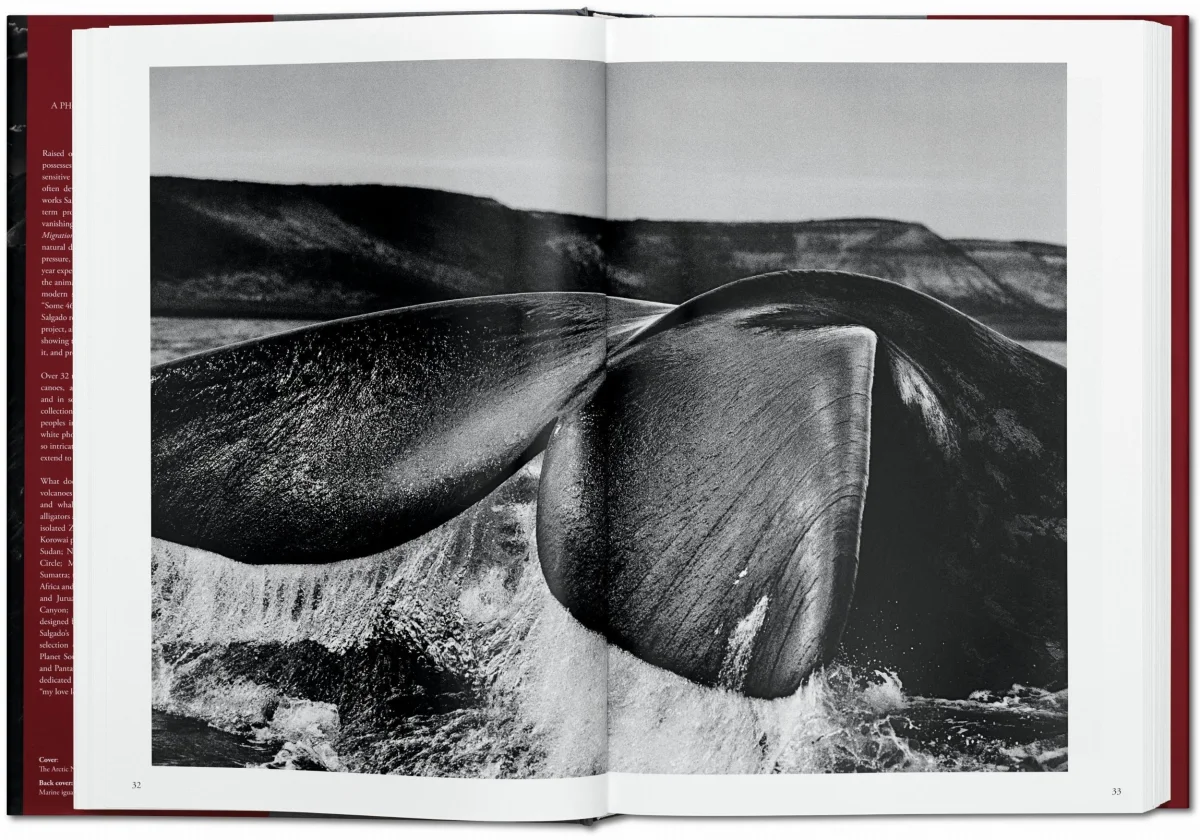 TASCHEN Sebastião Salgado. Genesis Cyber Monday
