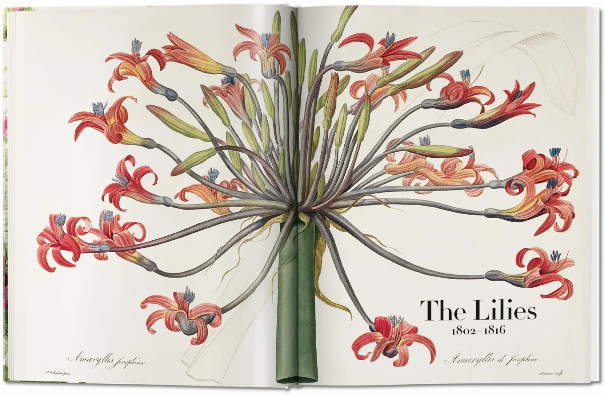 TASCHEN Redouté. The Book of Flowers Osterangebot