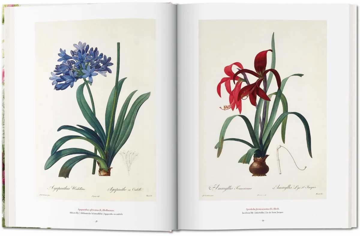 TASCHEN Redouté. The Book of Flowers Osterangebot