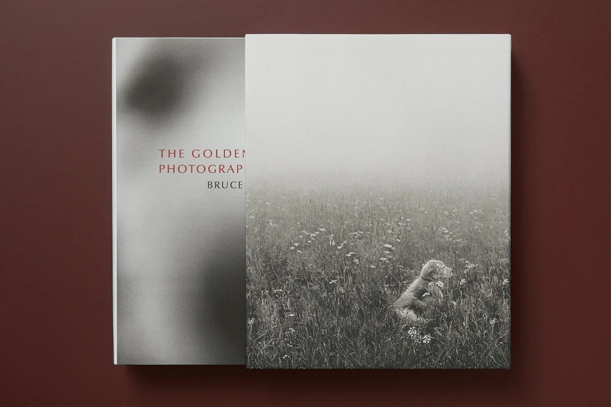 TASCHEN Bruce Weber. The Golden Retriever Photographic Society Zeitlich begrenztes Angebot