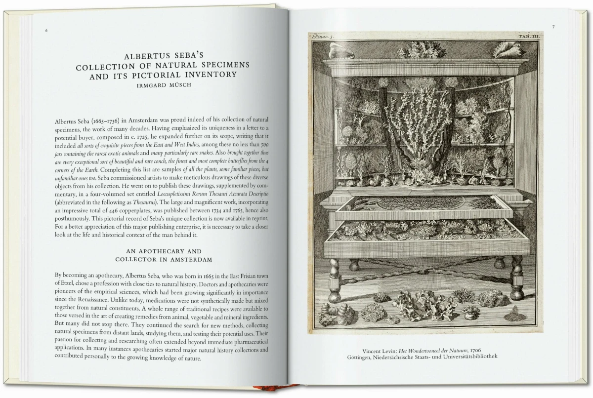 TASCHEN Seba. Cabinet of Natural Curiosities. 40th Ed Exklusive Angebote
