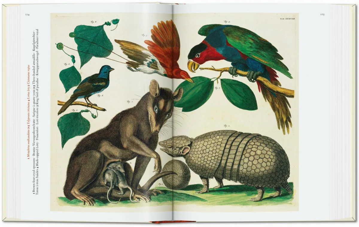 TASCHEN Seba. Cabinet of Natural Curiosities. 40th Ed Exklusive Angebote