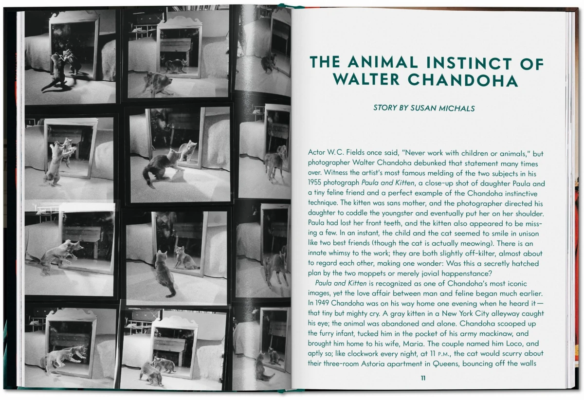 TASCHEN Walter Chandoha. Cats. Photographs 1942–2018 Discount Store für neue Produkte