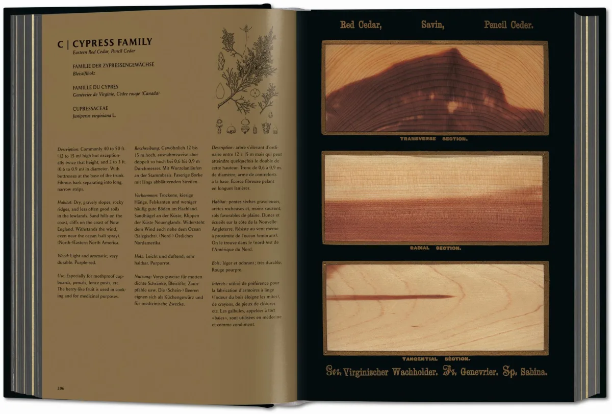 TASCHEN Romeyn B. Hough. The Woodbook. The Complete Plates Angebote