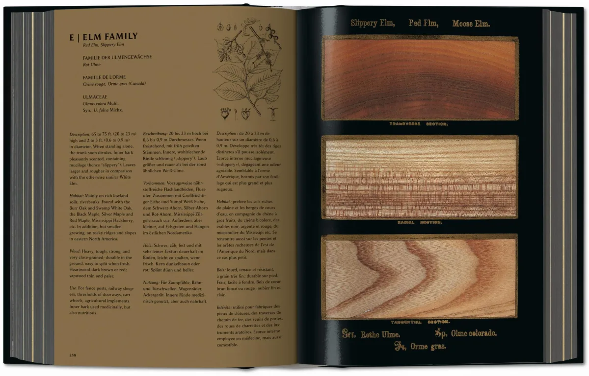 TASCHEN Romeyn B. Hough. The Woodbook. The Complete Plates Angebote