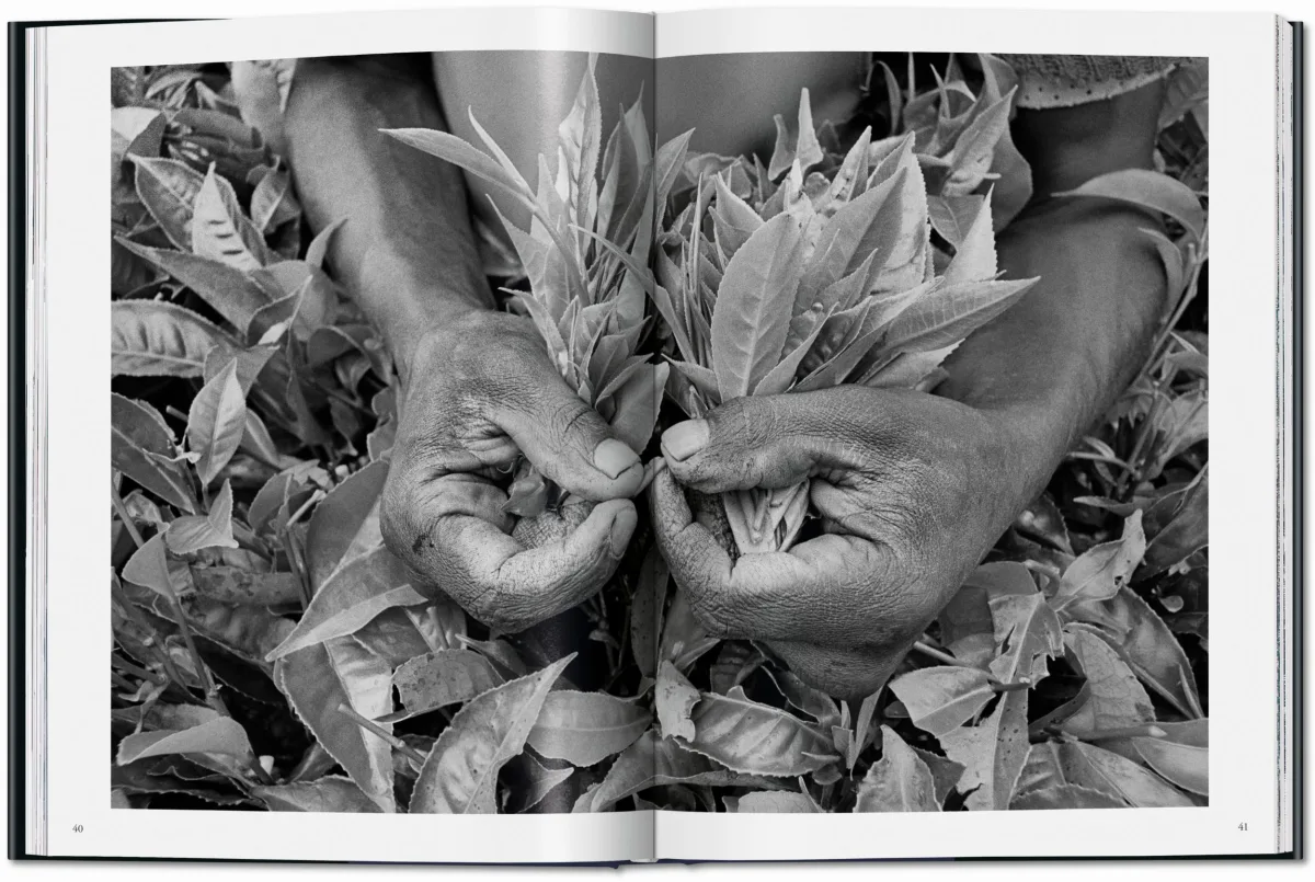 TASCHEN Sebastião Salgado. Workers. An Archaeology of the Industrial Age Preisnachlass