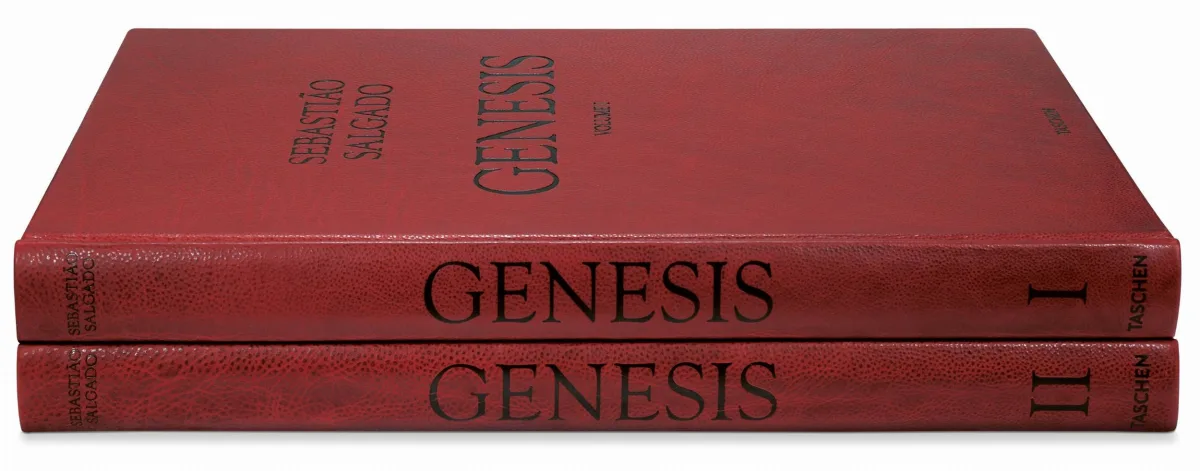 TASCHEN Sebastião Salgado. Genesis. Art Edition No. 201–300 ‘Black-Browed Albatrosses, Falkland Islands’ Kostenloser Versand international